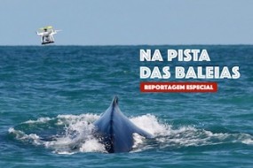 Baleias 2022