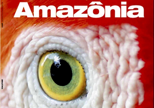 Amazônia: Ainda é possível salvar?