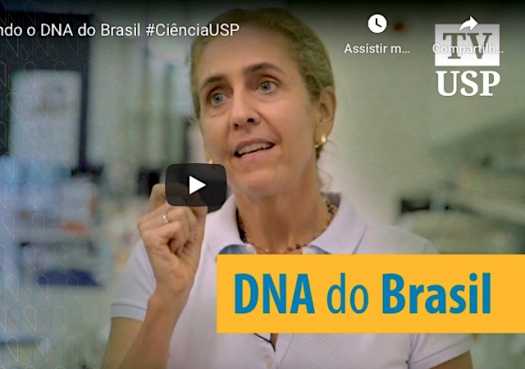 DNA do Brasil