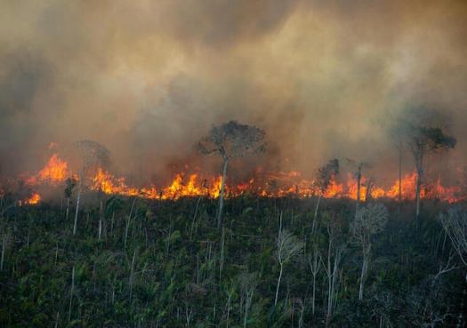 Tragédia anunciada: destruição da Amazônia será catastrófica para o planeta