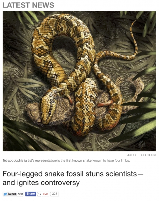 Four-legged snake fossil stuns scientists - and ignite controversy