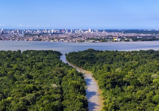 Relatório aponta caminhos para evitar catástrofe ambiental planetária