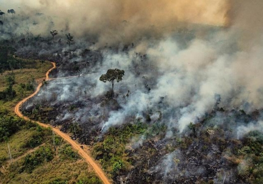Amazon fires clearly linked to deforestation, scientists say