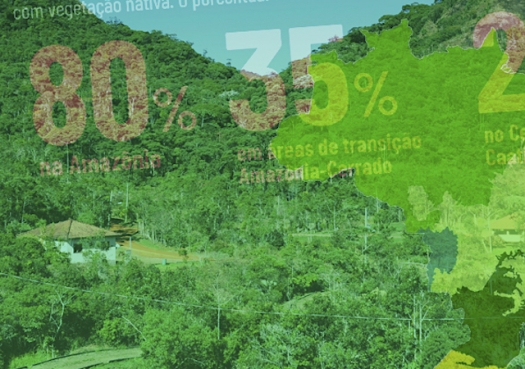 Extinção das Reservas Legais causaria prejuízo trilionário ao Brasil