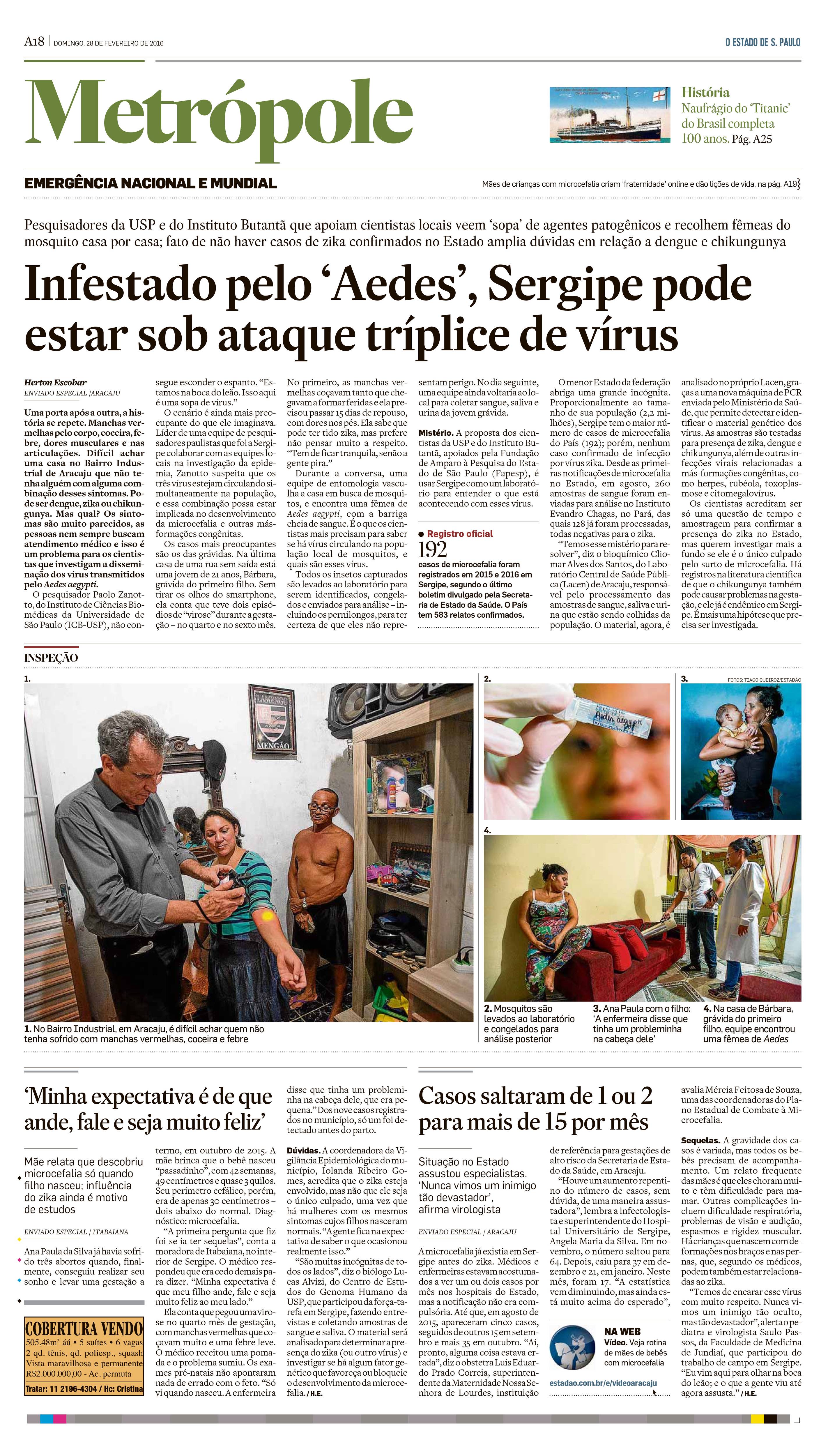 Infestado pelo Aedes Sergipe pode estar sob ataque tríplice de vírus