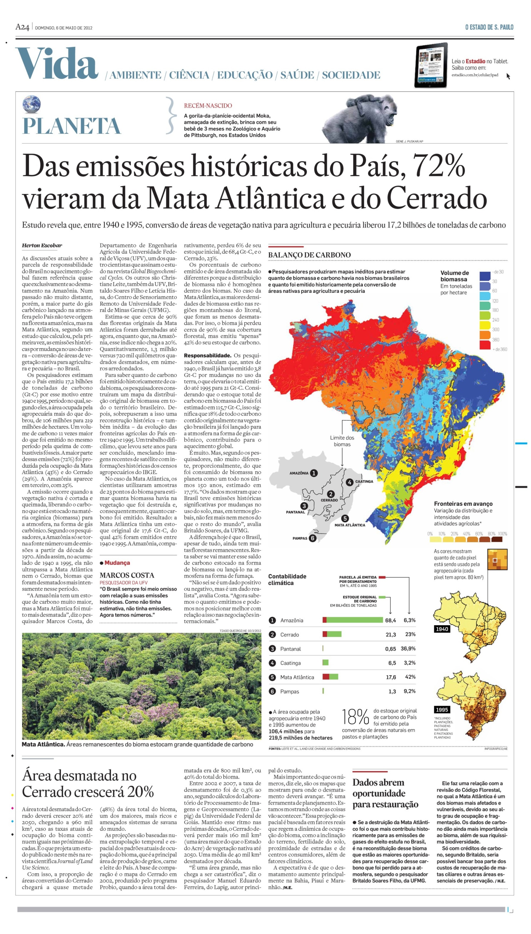 Das emissões históricas do Brasil, 72% vieram da Mata Atlântica e Cerrado