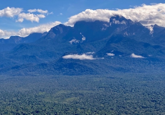 Rumo à Amazônia desconhecida: Cientistas preparam expedição inédita à Serra do Imeri