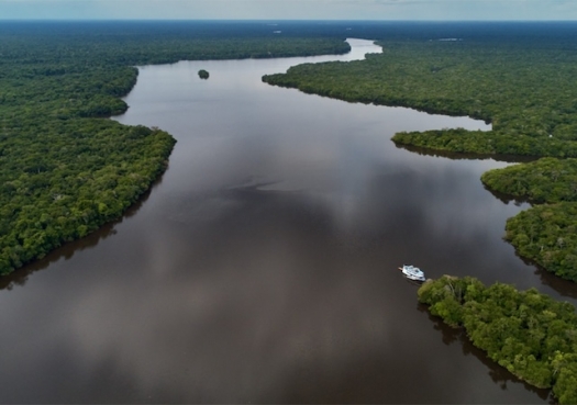 Expedição Jutaí: em busca de ratos na Amazônia
