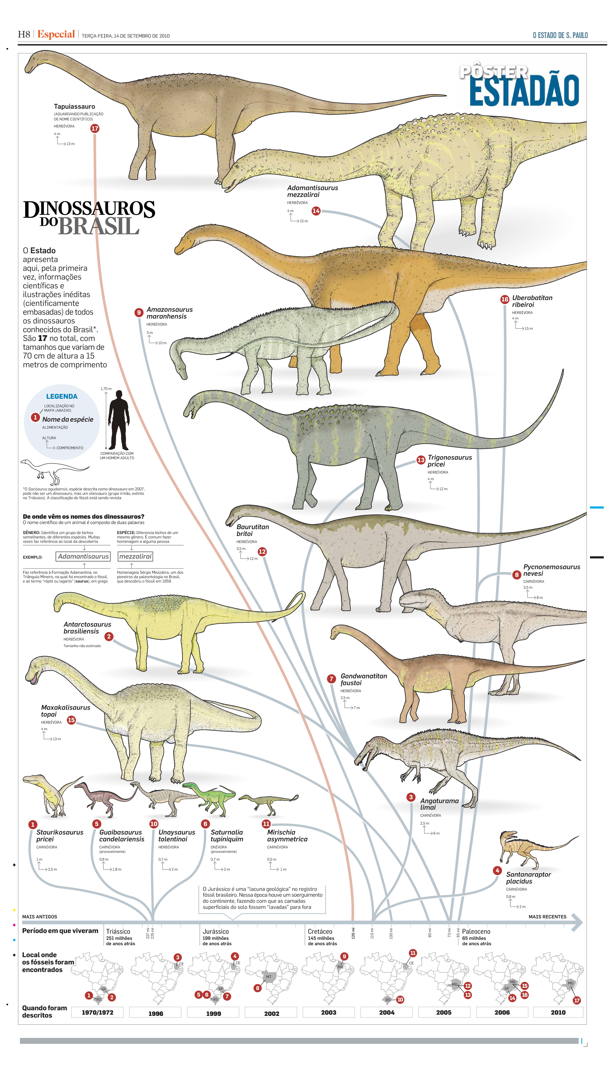 Classificações dos dinossauros